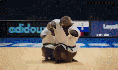 Judo-Judo Les Marmottes Sports France 3 Canales - TV Francia Multimedia 