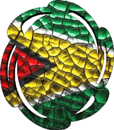 Form 01 Guyana America Flags 