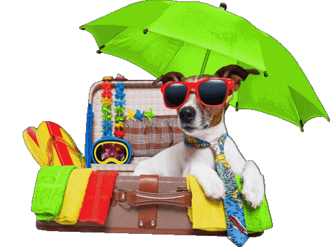 11 Fond Transparent Bonnes Vacances Français Messages 