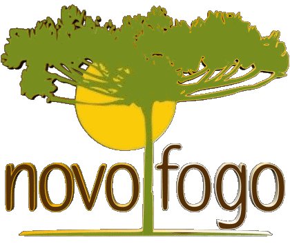 Novo Fogo Cachaca Bebidas 