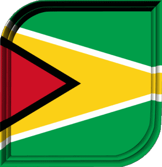 Square Guyana America Flags 