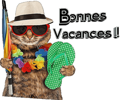 30 Fond Transparent Bonnes Vacances Français Messages 