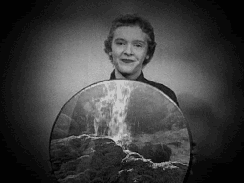 Bill Domonkos GIF Artists Humor -  Fun 