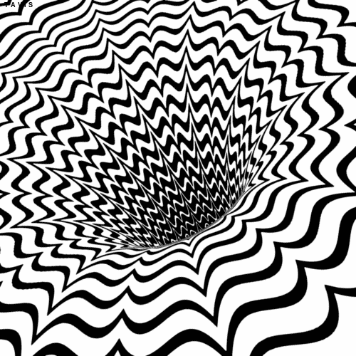 Bill Tavis GIF Artista Humor - Fun 