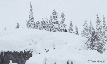 Free Ride Fun Win Sciare Sportivo Umorismo -  Fun 