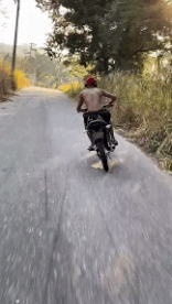 Freestyle Fun Win Motorcycles Transport Humor -  Fun 