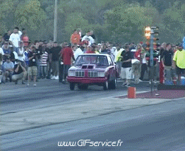 Wheeling Car Coches Transporte Humor - Fun 