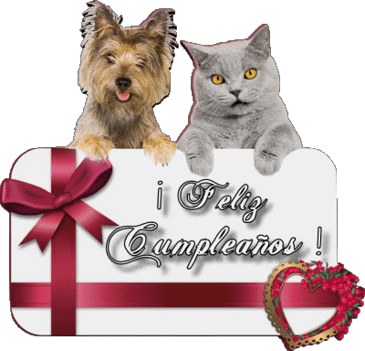 005 Animales Feliz Cumpleaños Spanisch Nachrichten 