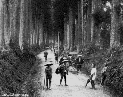 Stéreoscopique Wiggle 3D Effets Humour - Fun 