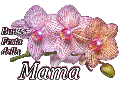 05 Buona Festa della Mamma Italian Messages 