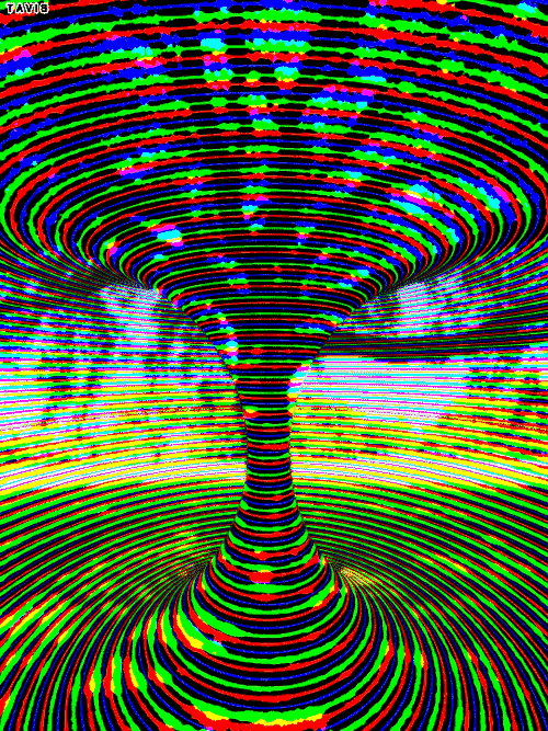 Bill Tavis GIF Artista Humor - Fun 