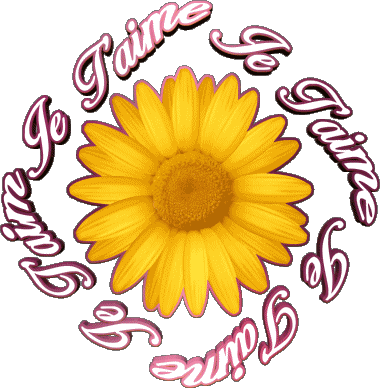 03 Je T'aime Francese Messagi 