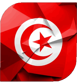 Carré Tunisie Afrique Drapeaux 