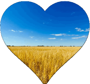 Corazón Ucrania Europa Banderas 