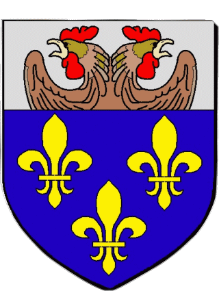 Wappen-Wappen VERSAILLES 78 Abteilungen - Städte Frankreich Fahnen 