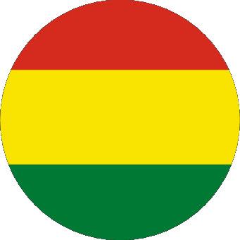 Verschiedene Bolivien Amerika Fahnen 