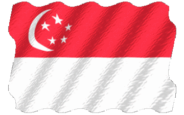 Ondulation Singapour Asie Drapeaux 