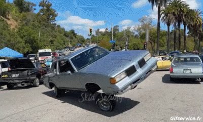 Lowriding Cars Transport Humor -  Fun 