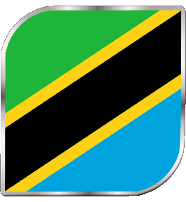 Square Tanzania Africa Flags 