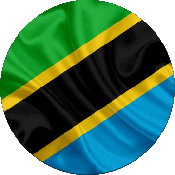 Rond Tanzanie Afrique Drapeaux 