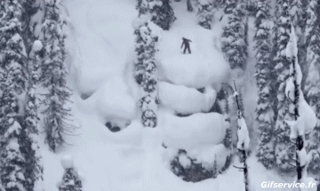 Free Ride Fun Win Ski Sports Humor -  Fun 