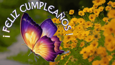 004 Animated Background Mariposas Feliz Cumpleaños Spanish Messages 