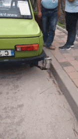 Funny Cars Transport Humor -  Fun 