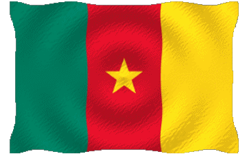 Waving Cameroon Africa Flags 