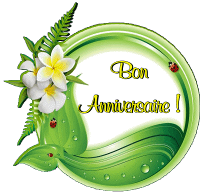 011 Transparent Background Floral Bon Anniversaire French Messages 