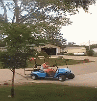 Serie 01 Golf cart Transport Humor -  Fun 
