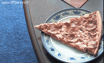 01 Hunde Tiere Humor -  Fun 