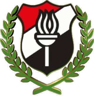 El Dakhleya Football Club Egypt Soccer Club Africa Logo Sports 
