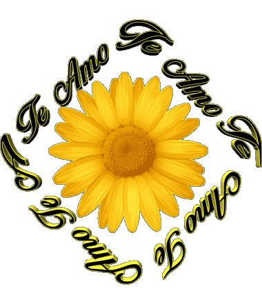 02 Te Amo Espagnol Messages 