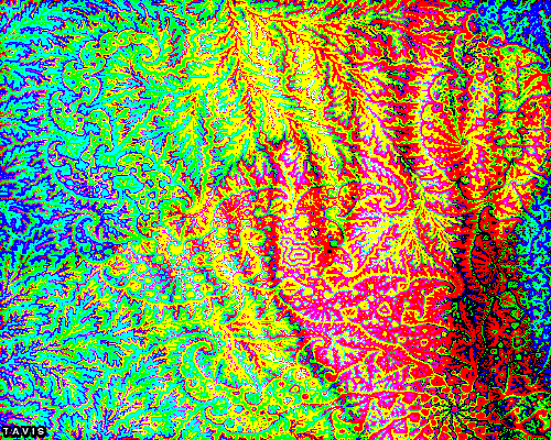 Bill Tavis GIF Künstler Humor -  Fun 