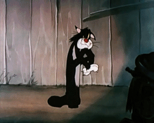 The Cat That Hated People Tex Avery Cartoons TV Filme Multimedia 
