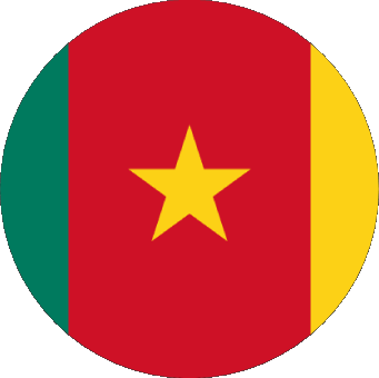 Divers Cameroun Afrique Drapeaux 