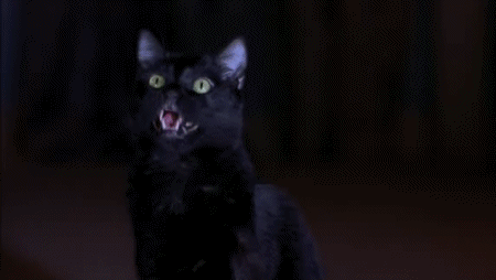02 Video GIF Scary Movie Películas Internacional Multimedia 