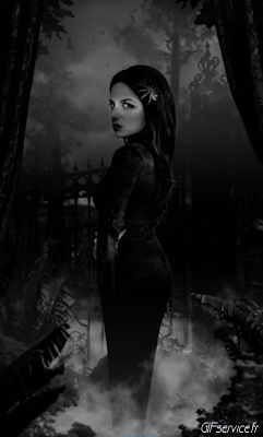 Stéreoscopique Wiggle 3d Effects Humor -  Fun 