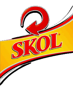 Skol Brésil Bières Boissons 