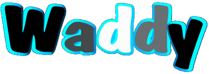 Waddy W MASCULINE - France First Names 