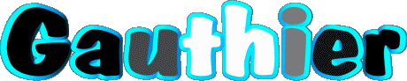 Gauthier G MASCULIN - France Prénoms 