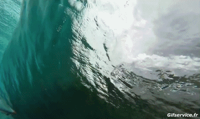 Fun - Win Surf Deportes Humor - Fun 