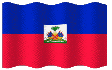 Waving Haiti America Flags 