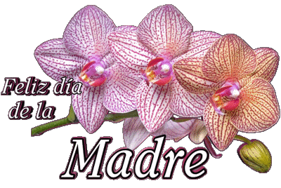 05 Feliz día de la madre Spanisch Nachrichten 