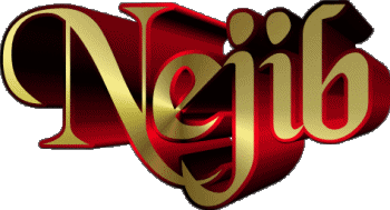 Nejib N MASCULINO - Magreb Musulmán Nombre 