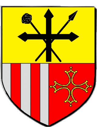 SAINT ORENS DE GAMEVILLE 31 Departments - Cities France Flags 