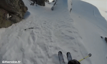 Free Ride Fun Win Sciare Sportivo Umorismo -  Fun 