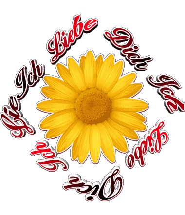 02 Ich Liebe Dich German Messages 