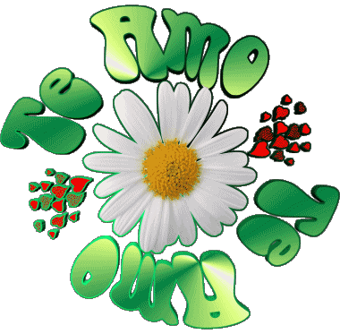 04 Te Amo Espagnol Messages 