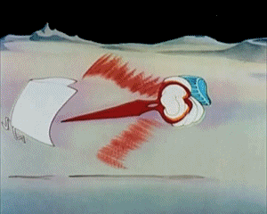 The Cat That Hated People Tex Avery Cartoons TV Filme Multimedia 